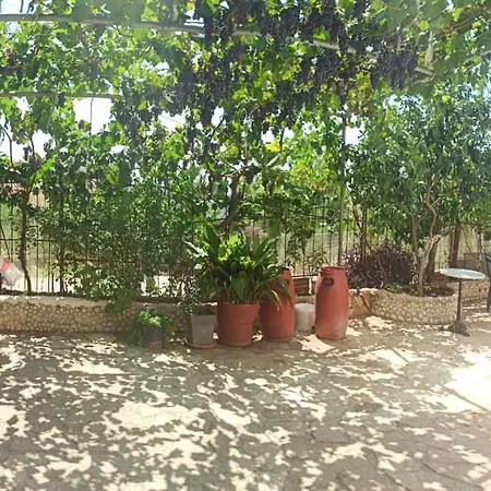 Achilles Саранда